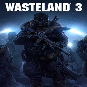 Wasteland 3