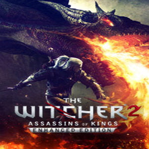The Witcher 2: Assassins of Kings