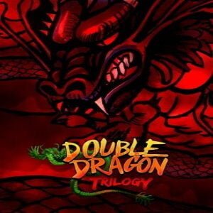 Double Dragon Trilogy (for PC) Steam