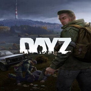 DayZ (for PC) Steam