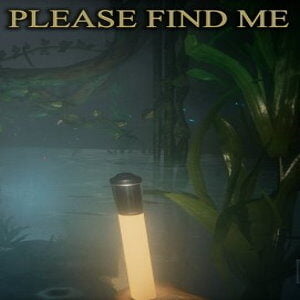 Please Find Me (for PC) Steam