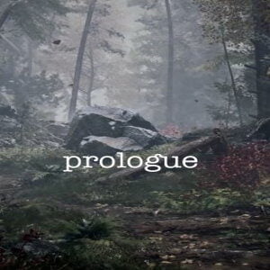 Playerunknown's Prologue (for PC) Steam