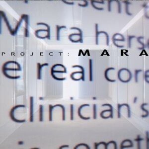 Project: MARA (for PC) Steam