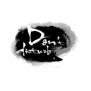 Don't Disturb (for PC) Steam