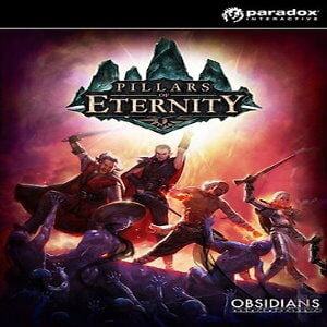 Pillars of Eternity: Hero Edition (for PC) Steam