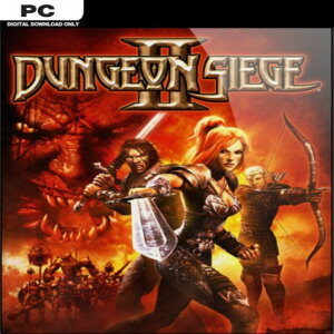DUNGEON SIEGE 2 PC (for PC) Steam