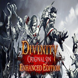 Divinity: Original Sin - Enhanced Edition (for PC) Steam